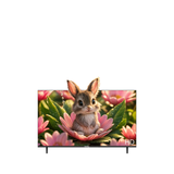 Grouhy 32 Inch LED HD TV Frameless - GLD32NAV2