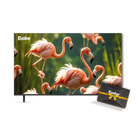 Evolve 43 Inch LED TV Frameless - VLD43NAV2 + Evolve HD Satellite Receiver Mini - Black - 2000 Pro Bundle