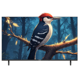 Grouhy 40 Inch HD LED TV Frameless - GLD40NA