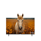 Grouhy 43 Inch FHD LED Frameless TV - GLD43NAV2