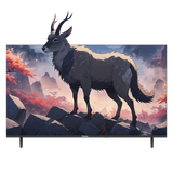 Grouhy 43 Inch Full HD LED Smart Frameless TV With Built In Reciever - GLD43SDV2