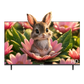 Grouhy 32 Inch LED HD TV Frameless - GLD32NAV2
