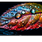 Grouhy 32 Inch HD Smart LED TV - GLD32SAWORV2