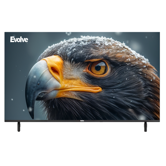 Evolve 32 Inch HD LED Frameless TV - VLD32NA