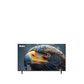Evolve 32 Inch HD LED Frameless TV - VLD32NA