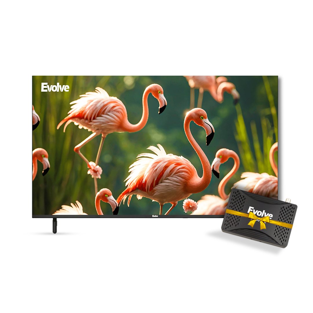 Evolve 43 Inch LED TV Frameless - VLD43NAV2 + Evolve HD Satellite Receiver Mini - Black - 2000 Pro Bundle
